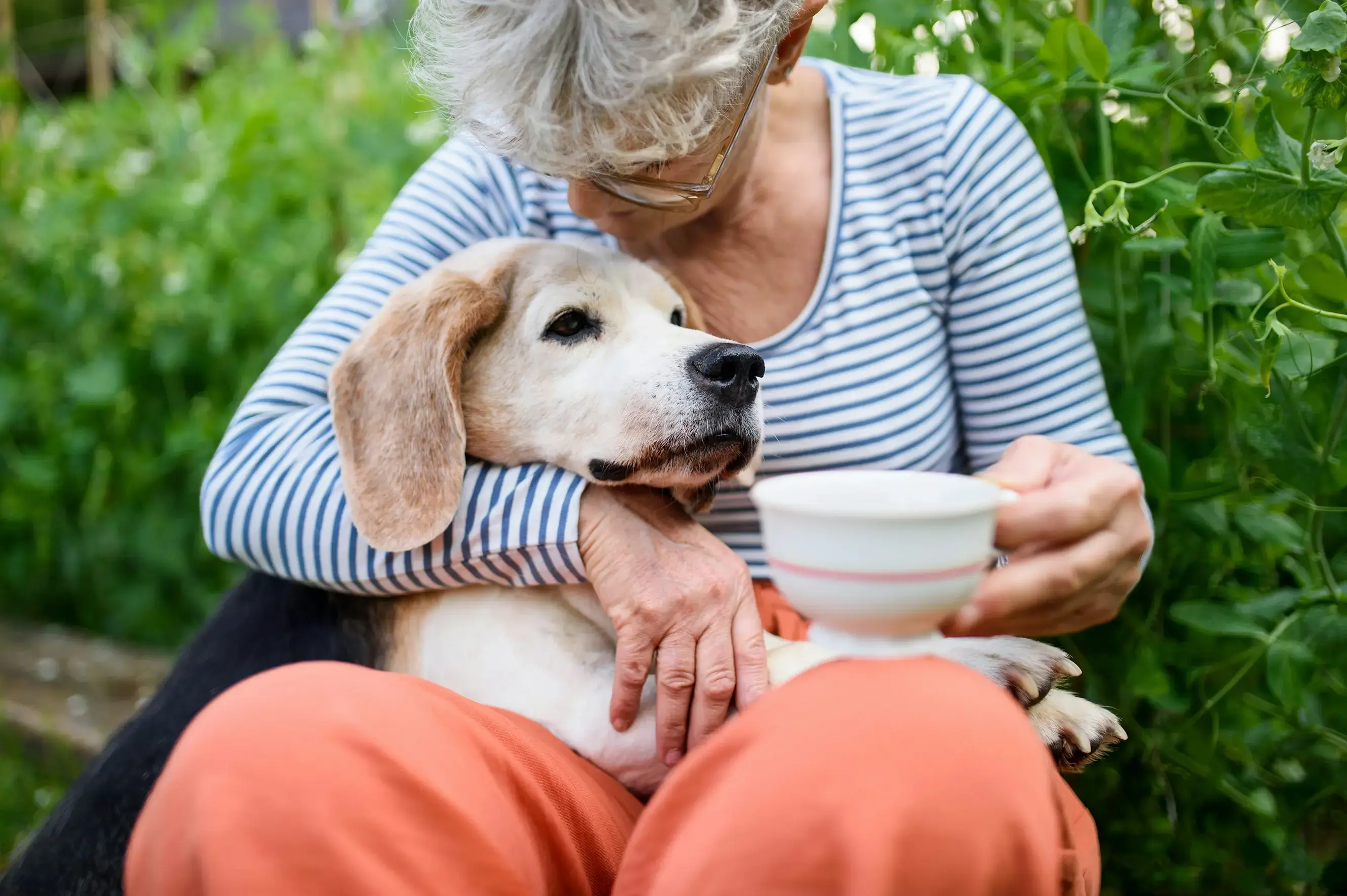 happy senior enjoying life and staying independent at home
